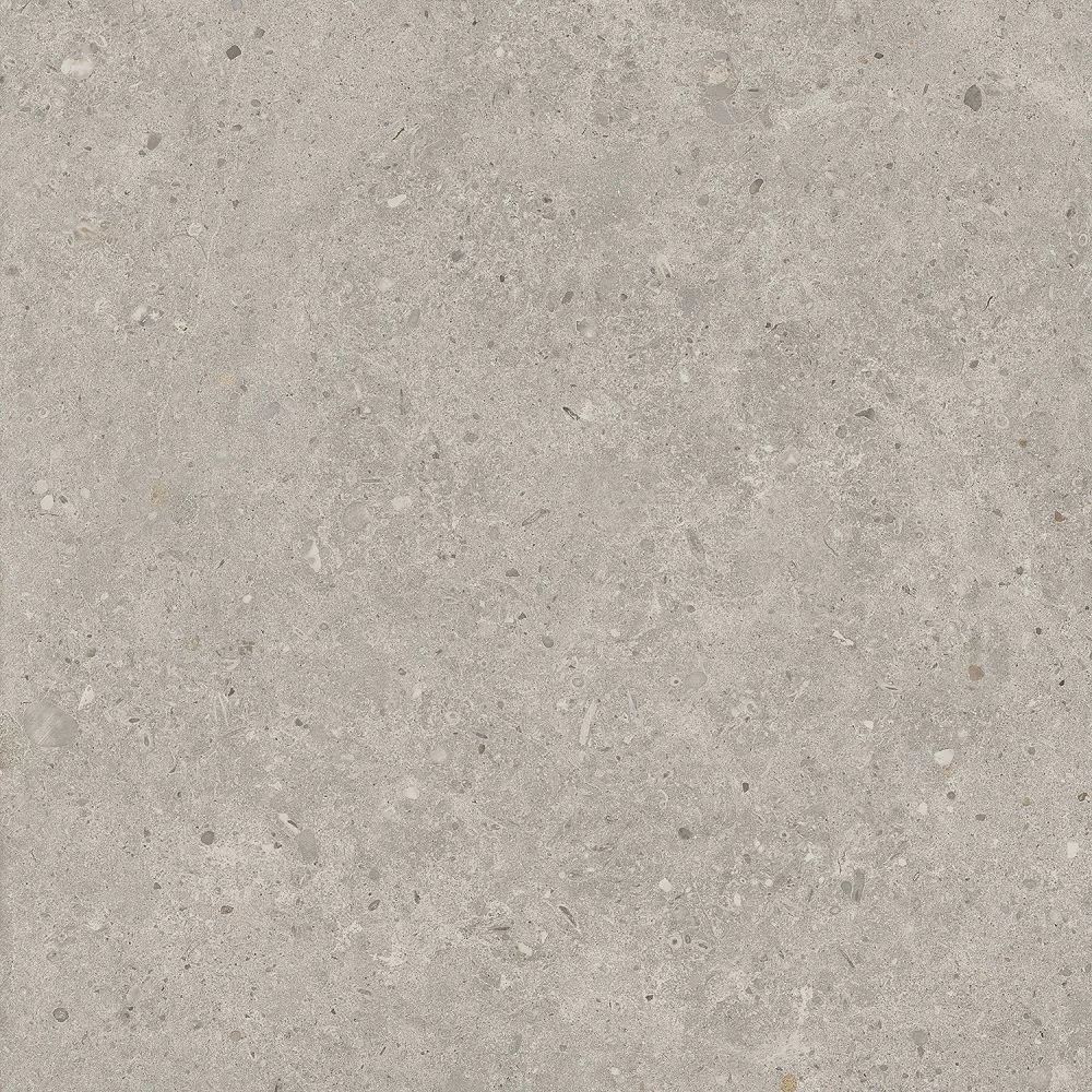 SG653720R Риккарди серый светлый матовый обрезной 60x60x0,9 Орел (1,44)